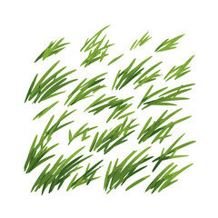 Fototapeta premium Green Grass Blades Isolated Pattern