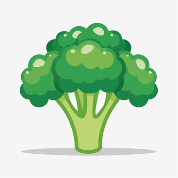 Stylized illustration of a fresh green broccoli head