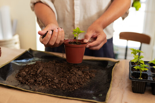 Male wearing beige shirt, sleeves rolled, tending green seedling in brown pot, pressing soil