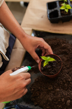 Mid-adult man wearing short-sleeve shirt holding nursery pot misting seedling with spray bottle
