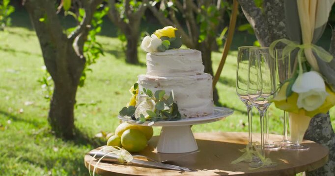 Camera pushing in, tightening framing, drawing focus to two-tier cake on pedestal at orchard table