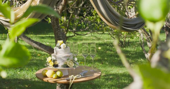 Vertical video: Camera pulling back wind moving leaves showing cake, flutes on yard table for party