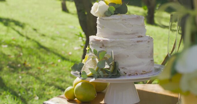 Vertical video: Camera panning right, framing frosted cake on table outdoors with limes