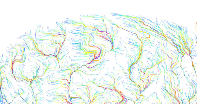 Abstract pattern of colorful flowing lines, reminiscent of streams or veins. Ideal for de