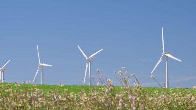 Windmill park for sustainable electric power generation in Spain