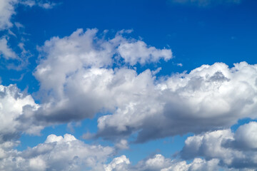 Obraz premium Cumulus clouds in a high blue sky.