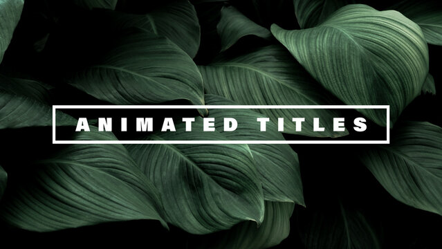 Animated Titles