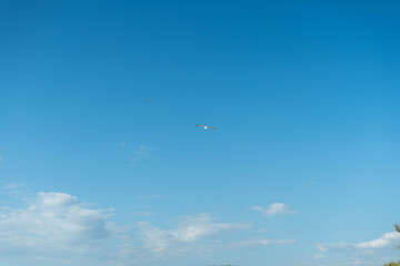 Fototapeta premium Two seagulls soaring gracefully through a vast, clear blue sky with scattered clouds