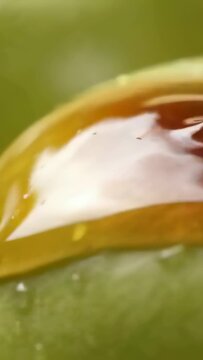 Vertical video: Pouring amber syrup from spout forming pool on damp green fruit in studio to coat