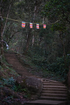 stairway to heaven Sri Pada / Adam's Peak
Mountain in Sri Lanka
