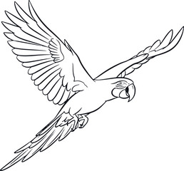 Flying parrot bird line drawing vector illustration. © Sadhin