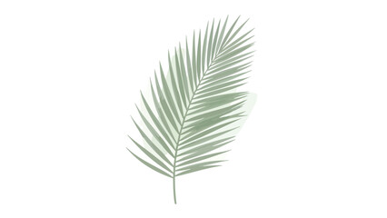 Minimalist Palm Leaf Vector Graphic - Tropical Botanical Design Element for Commercial Use © romi