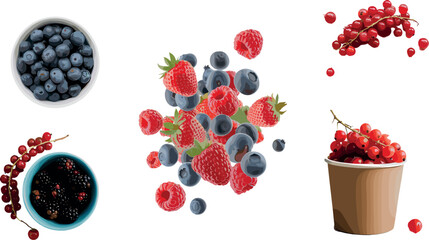 Fresh mixed berries collection with blueberries raspberries and red currants in bowls and splash composition isolated on clean background for healthy food concept © Mominul