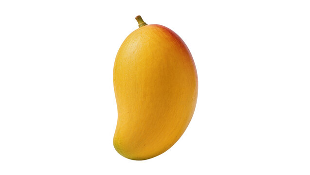 Isolated ripe Alphonso mango fruit with vibrant yellow and red skin, tropical sweetness.