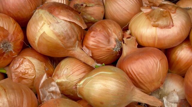 Fresh raw yellow onions in a plastic crate at the local market, organic bulb onions pile background, harvest concept