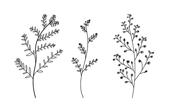 Handdrawn natural lined leaf design, abstract botnical desing, floral elements