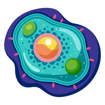 Cartoon Animal Cell Illustration