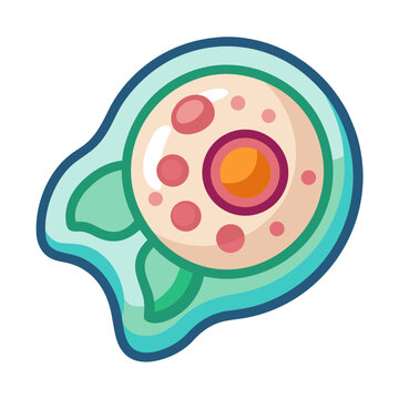 Cartoon Chondrocyte Cell Illustration Isolated