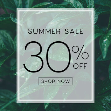 A promotional advertisement for a summer sale with a discount offer on a leafy green background