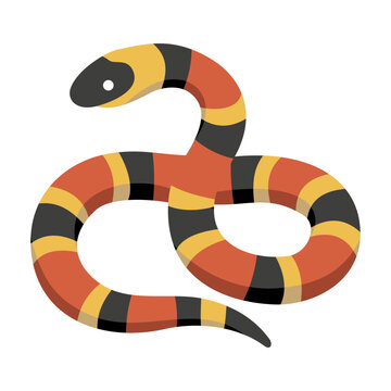 Coral Snake Illustration Vector Template Design