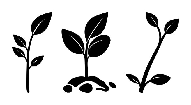 Micro-investment seed icon set with solid black icon on white background featuring finance, growth, small investment symbol with minimalist style and clear design