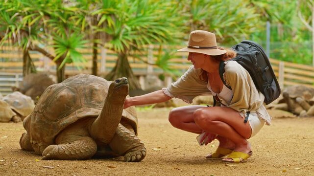 Woman in hat pet the head of a rare, giant turtle on the tropical island of Mauritius