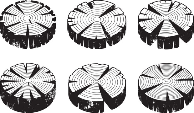 Tree log cross sections with growth rings, wood slices