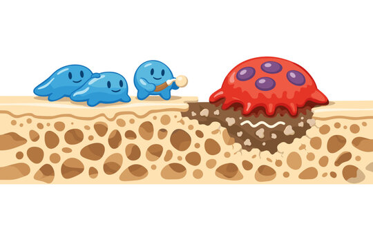 Bone Remodeling Process Illustration with Cute Cartoon Osteoblasts Building New Bone Tissue and a Large Red Osteoclast Removing Old Bone, Spongy Bone Structure, Medical Education Vector Art