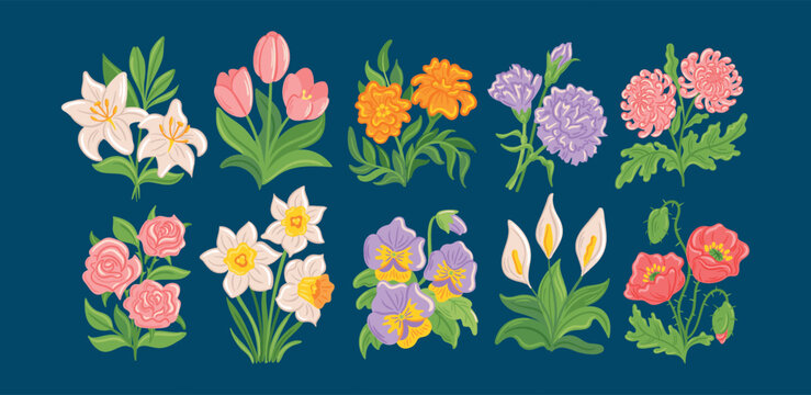 Flower garden set. Floral field. Plant lily, chrysanthemum in meadow. Natural botanical decor. Summer blooms. Spring blossom decorative sticker design. Vector cartoon flat style isolated illustration