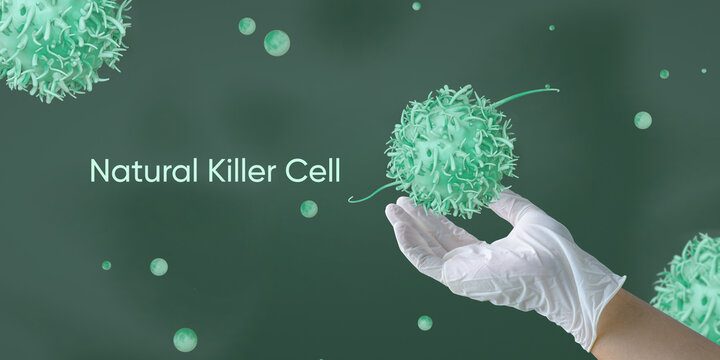 Killer T-cell or B-cell concept. White blood cells. Natural killer cell. Medical and science concept background. 