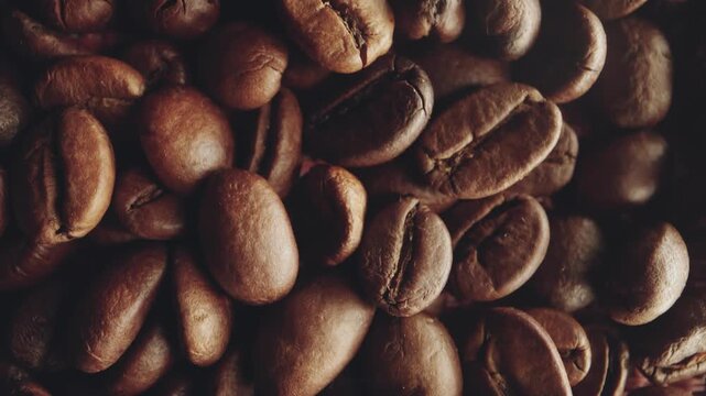 coffee beans close up view indoor unidentified video