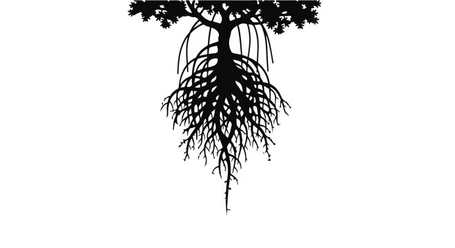 Tree roots grow downwards in a minimalist black and white graphic illustration.