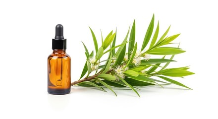 Fototapeta premium A small amber glass bottle with a dropper sits next to a vibrant green tea tree branch with narrow leaves on a clean white background, herbal, natural, isolated