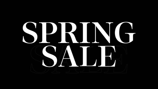 Elegant Bold Title Animation