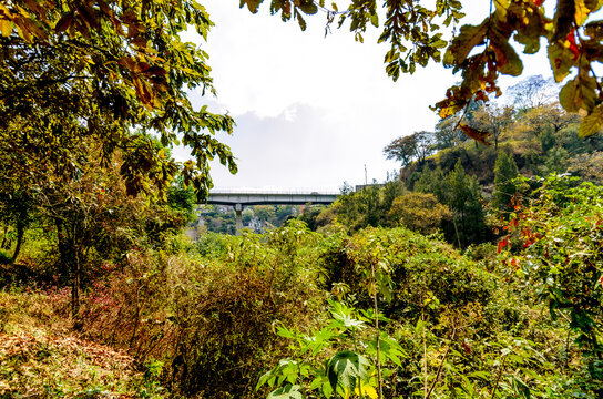 Industrial view of the bridge's understructure framing the natural landscape of the abyss below.
