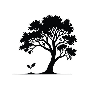 A large tree silhouette grows beside a small plant in a natural landscape setting.