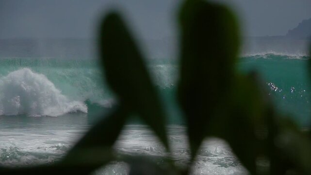 SLOW MOTION: Barrelling turquoise wave rises behind a dark coastal rock, framed by soft foreground leaves. Crystal clear wave with offshore spray at Ebay surf spot in the Mentawai Islands, Indonesia.