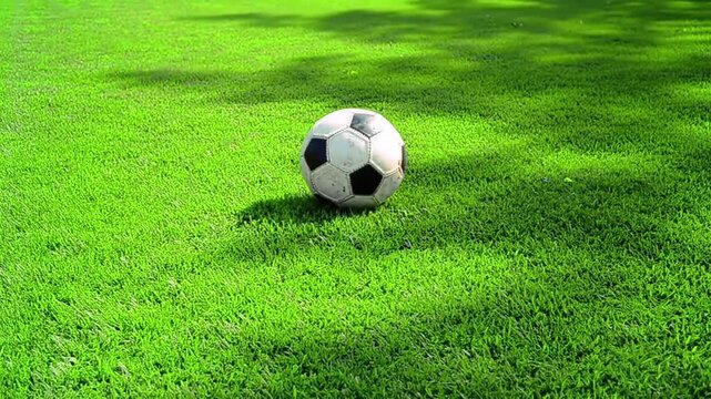 A classic black and white leather soccer ball sits on the green grass of a professional sports field turf ready for a competitive football game and team play activity