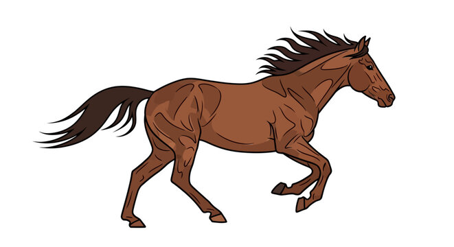 Brown Horse Running Fast Galloping Animal.