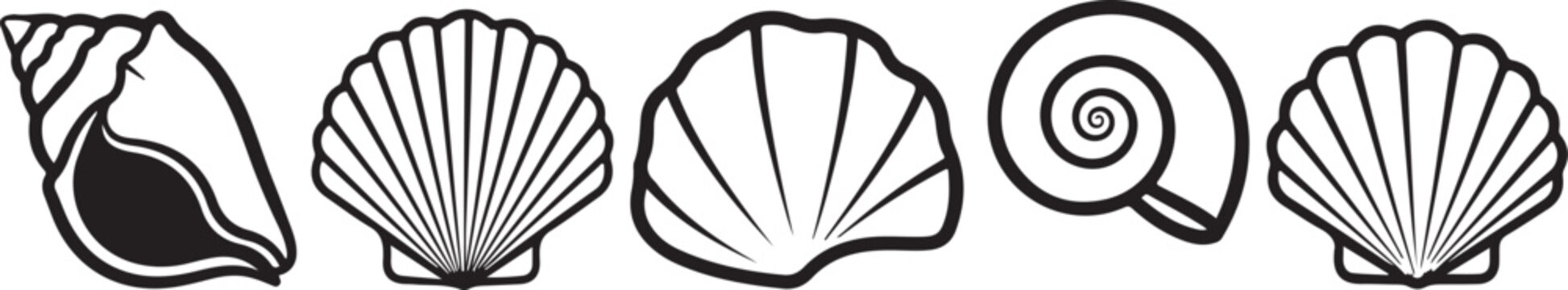 Black and white seashell icons, shell vector set, ocean beach symbols, coastal graphics