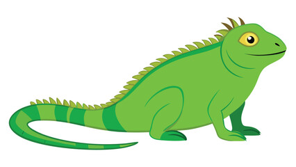 Fototapeta premium Green iguana lizard illustration featuring a stylized cartoon reptile character isolated on a clean white background for educational design