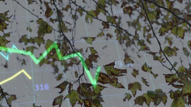 Neon green line graph emerging from left edge, traveling across canopy, visualizing market trends