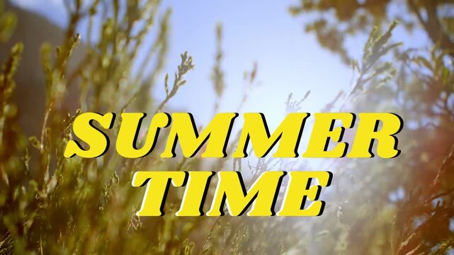 SUMMER TIME title staying centered while sun moving behind grasses casting flares for marketing