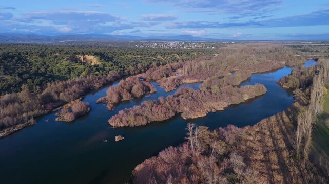 Aerial view from a drone of the Alberche River near the Cazalegas Reservoir, close to the town of Cazalegas. Province of Toledo. Castile-La Mancha. Spain. Europe