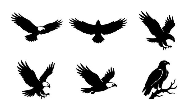 Bald eagle silhouette vector set, 6 black bird of prey icons, majestic flying hawk and soaring falcon graphics, wild eagle mascot collection