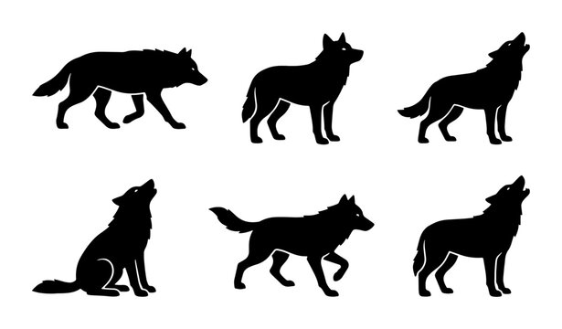 Wolf silhouette vector set with 6 icons, black wild animal shapes in howling and walking poses, minimalist timber wolf profile graphics for logos