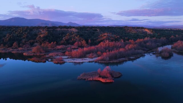 Aerial view from a drone of the Alberche River near the Cazalegas Reservoir, close to the town of Cazalegas. Province of Toledo. Castile-La Mancha. Spain. Europe