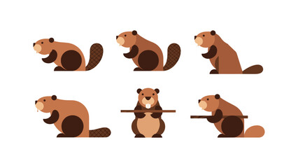 Fototapeta premium Cute Beaver Poses Collection