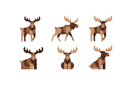 Moose Collection Flat Design