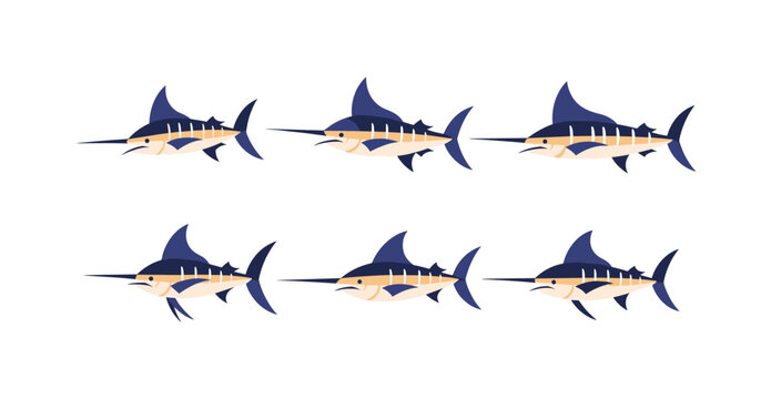 Marlin Fish Pattern